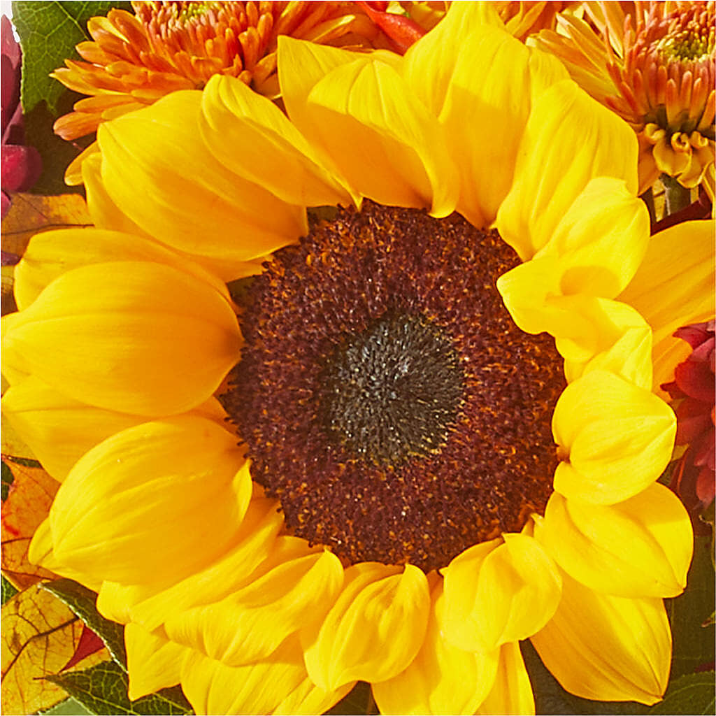 Sunny Side Bouquet – FUZZY'S FLOWERS GIFTS AND TUXEDOS, Marion OH