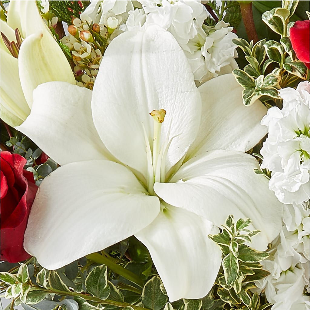 Twinkle Lights Bouquet – FUZZY'S FLOWERS GIFTS AND TUXEDOS, Marion OH