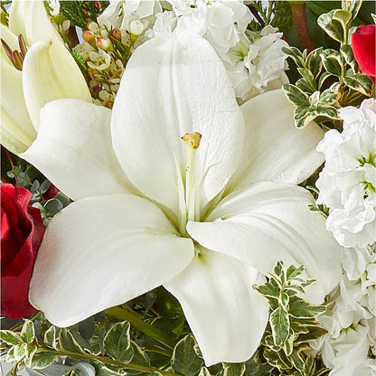 Twinkle Lights Bouquet – FUZZY'S FLOWERS GIFTS AND TUXEDOS, Marion OH