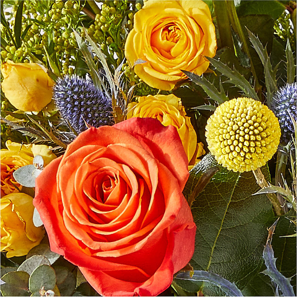 Disco Bouquet – FUZZY'S FLOWERS GIFTS AND TUXEDOS, Marion OH