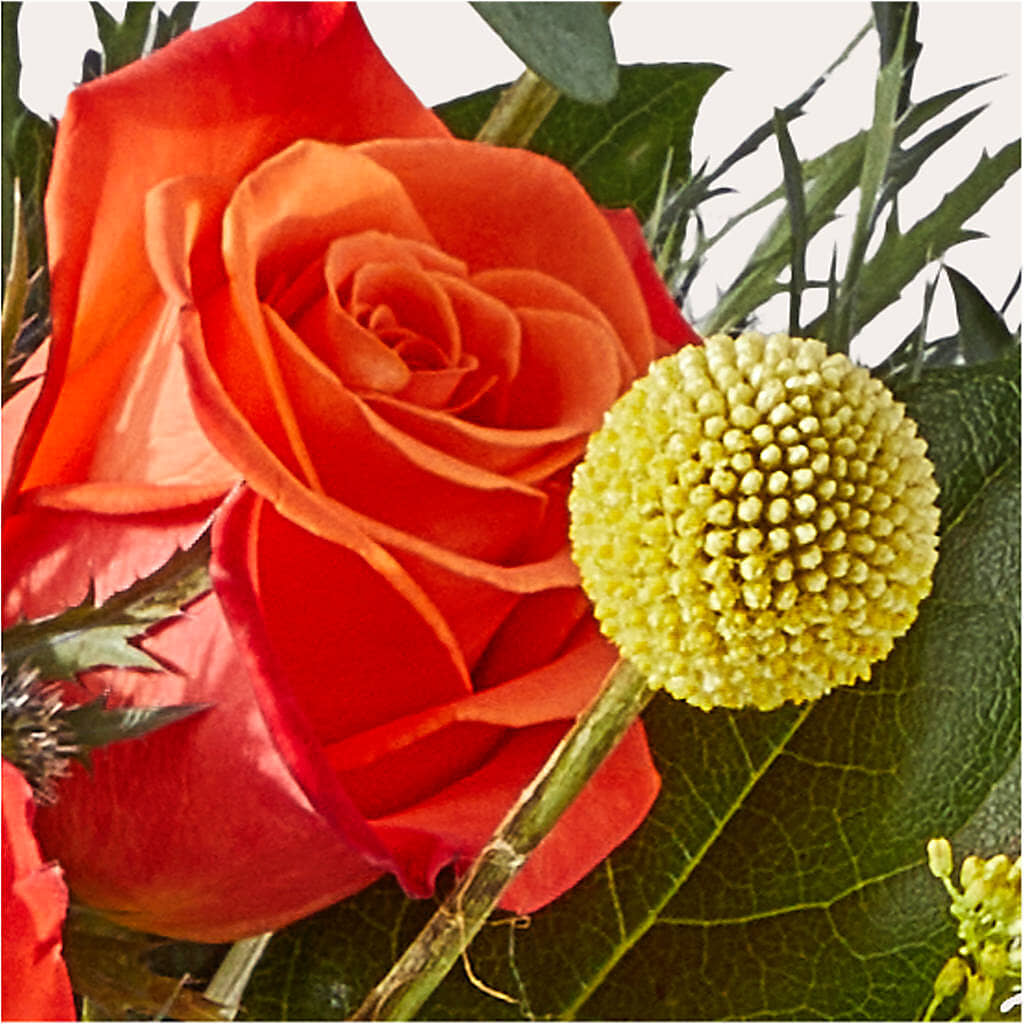 Disco Bouquet – FUZZY'S FLOWERS GIFTS AND TUXEDOS, Marion OH