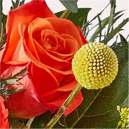 Disco Bouquet – FUZZY'S FLOWERS GIFTS AND TUXEDOS, Marion OH