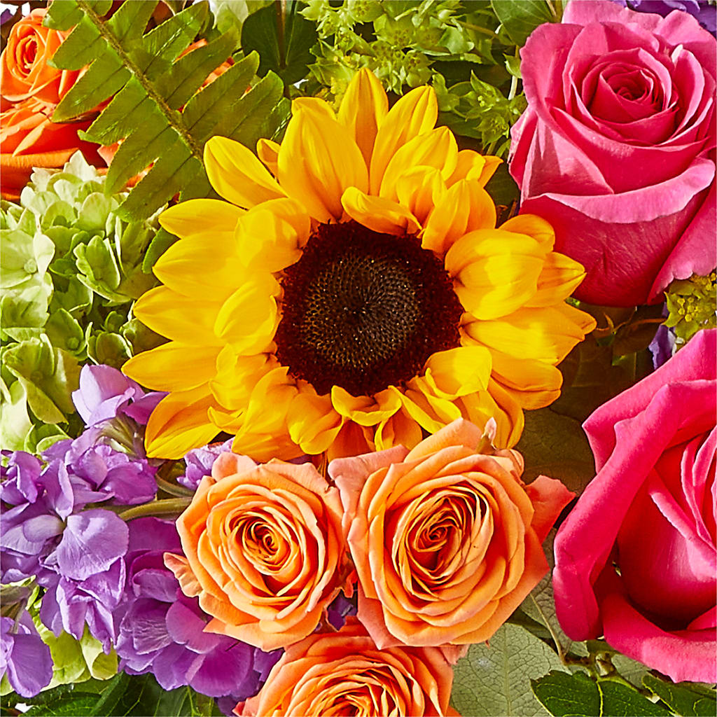 Vibrant Greetings Bouquet – FUZZY'S FLOWERS GIFTS AND TUXEDOS, Marion OH