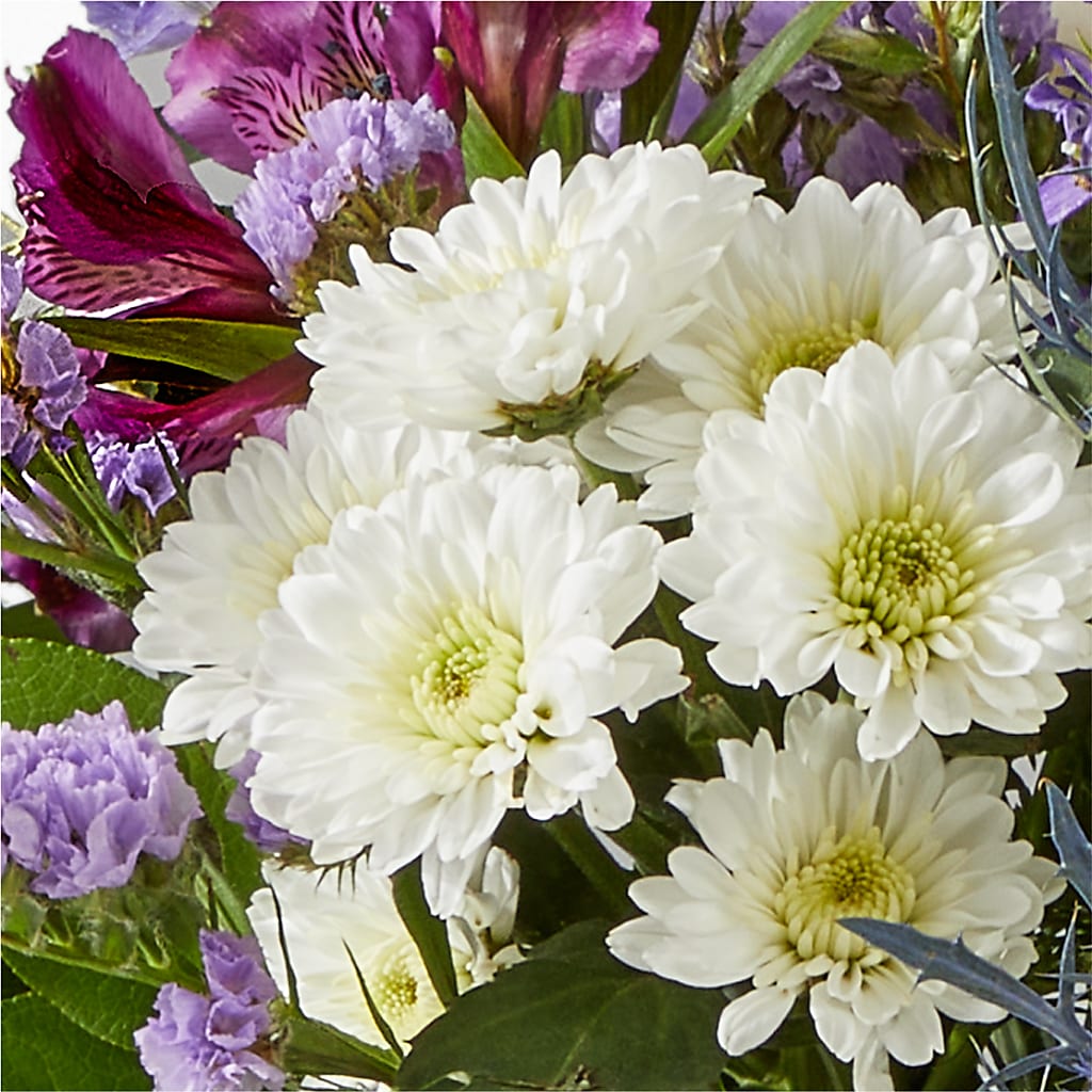 Shooting Star Bouquet – FUZZY'S FLOWERS GIFTS AND TUXEDOS, Marion OH