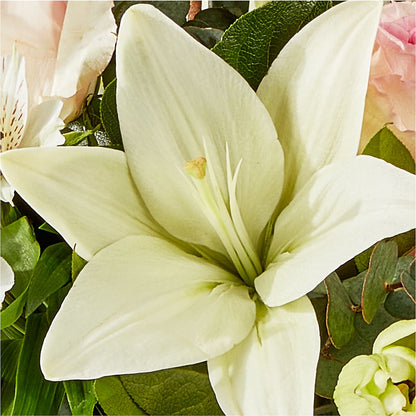 Ballet Slippers Bouquet – FUZZY'S FLOWERS GIFTS AND TUXEDOS, Marion OH