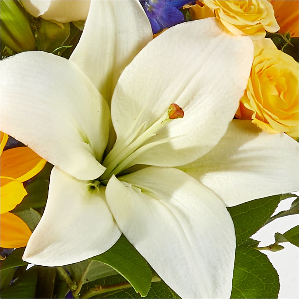 Wonderfully Sunny Bouquet – FUZZY'S FLOWERS GIFTS AND TUXEDOS, Marion OH