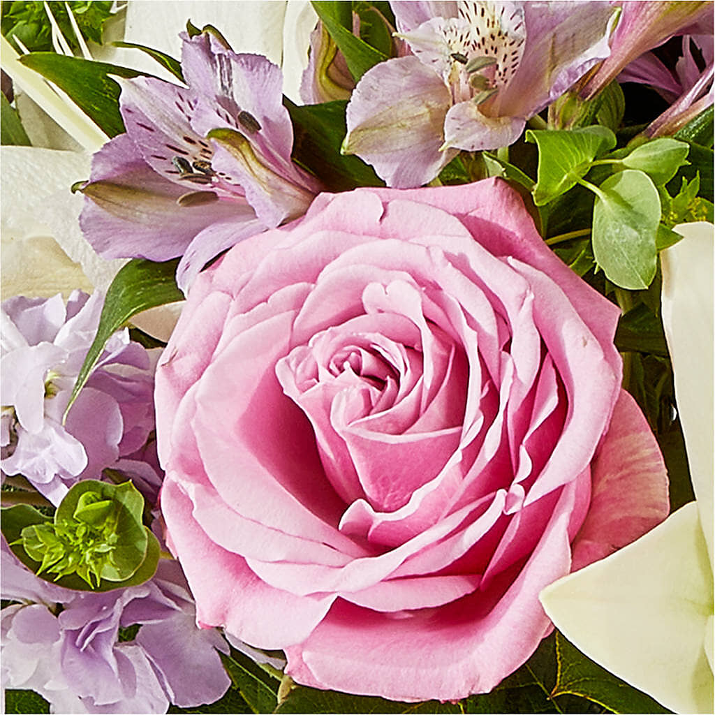 Daydreamer Bouquet – FUZZY'S FLOWERS GIFTS AND TUXEDOS, Marion OH
