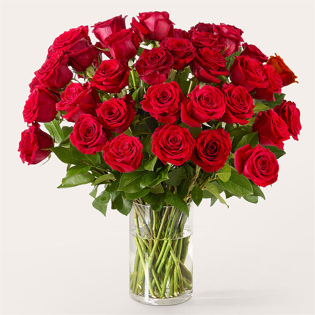 The One Red Rose Bouquet – FUZZY'S FLOWERS GIFTS AND TUXEDOS, Marion OH