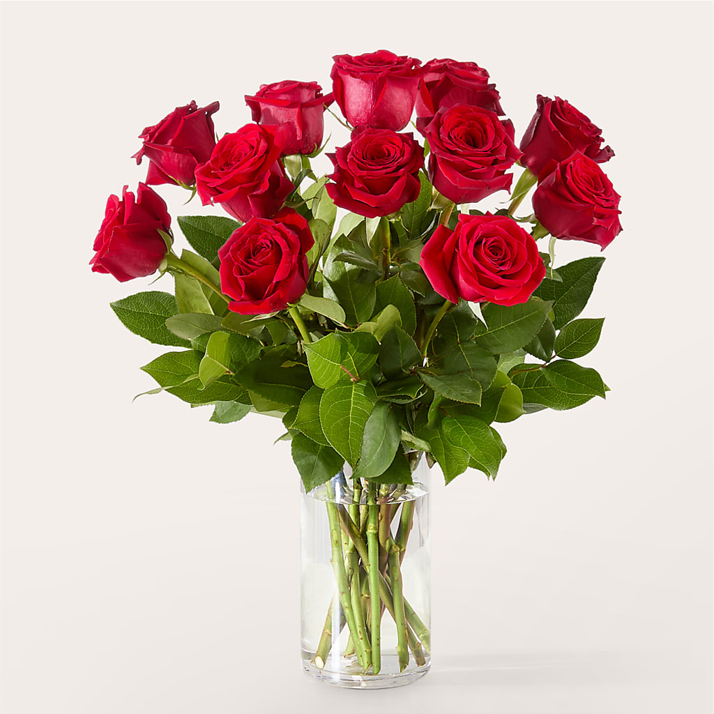 The One Red Rose Bouquet – FUZZY'S FLOWERS GIFTS AND TUXEDOS, Marion OH