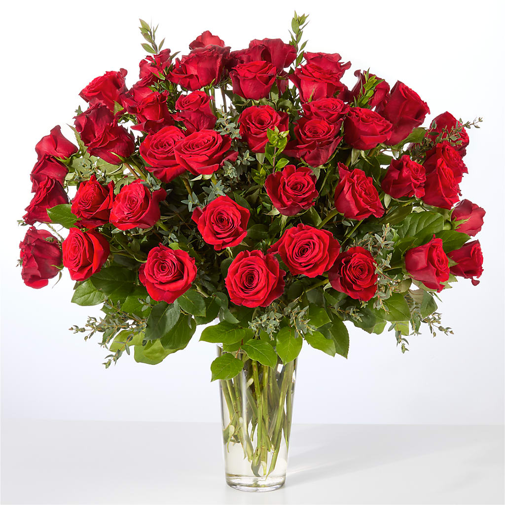 Forever Yours Fifty Stem Red Rose Bouquet – FUZZY'S FLOWERS GIFTS AND TUXEDOS, Marion OH