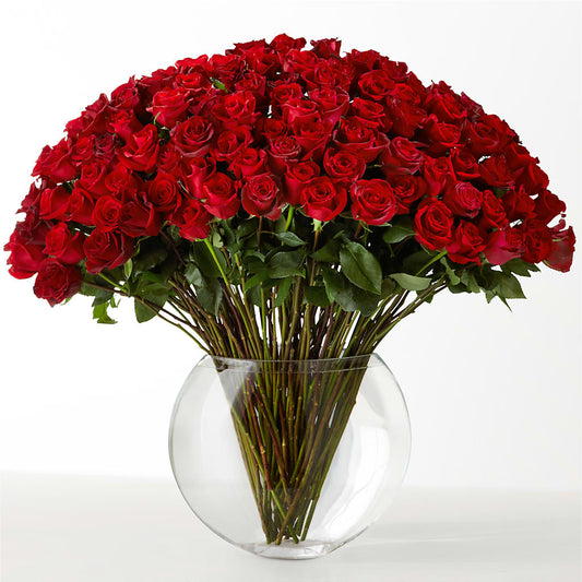 The Idealist – FUZZY'S FLOWERS GIFTS AND TUXEDOS, Marion OH