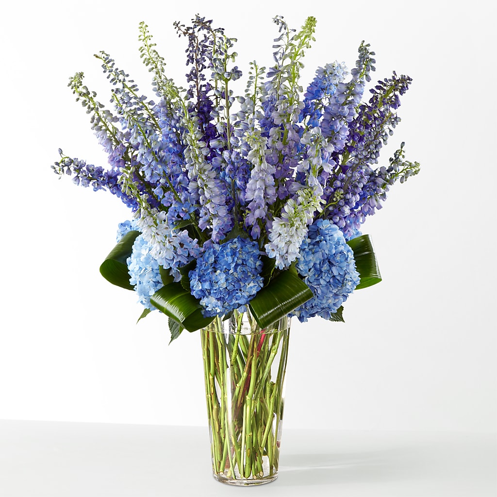 The Editorial – FUZZY'S FLOWERS GIFTS AND TUXEDOS, Marion OH