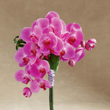 Glorious Bouquet – FUZZY'S FLOWERS GIFTS AND TUXEDOS, Marion OH