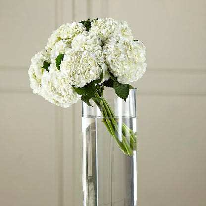 White Hydrangea Hand-Tied Bouquet – FUZZY'S FLOWERS GIFTS AND TUXEDOS, Marion OH