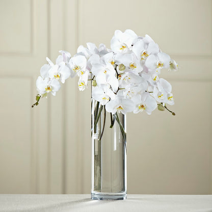 White Phalaenopsis Bouquet – FUZZY'S FLOWERS GIFTS AND TUXEDOS, Marion OH