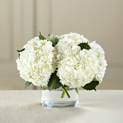 White Hydrangea Bouquet – FUZZY'S FLOWERS GIFTS AND TUXEDOS, Marion OH